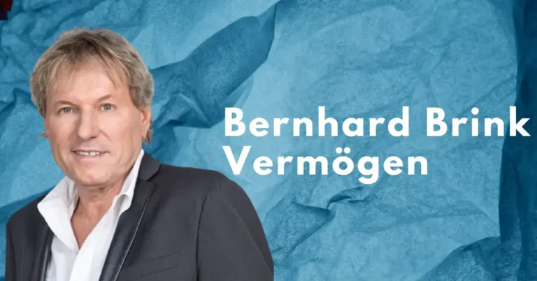 Bernhard Brink Vermögen, Immobilien & Gehalt