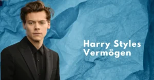 Harry Styles Vermögen
