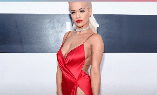 Faktoren, die das Vermögen von Rita Ora beeinflussen