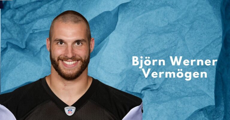 Björn Werner Vermögen