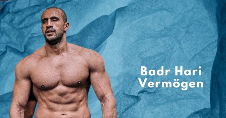 Badr Hari Vermögen