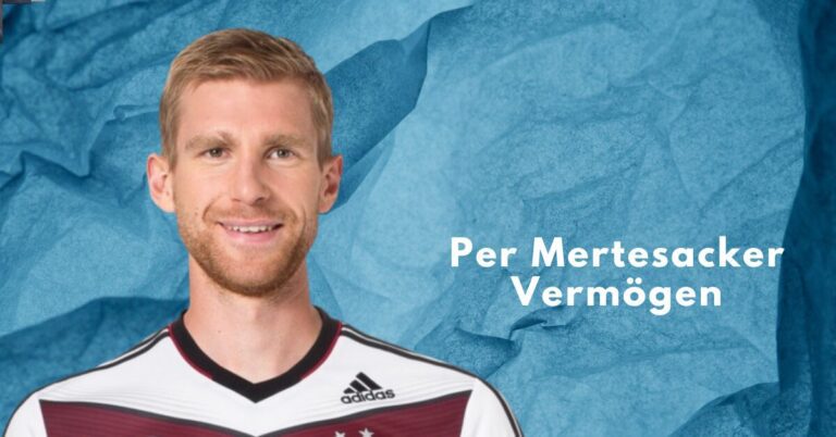 Per Mertesacker Vermögen