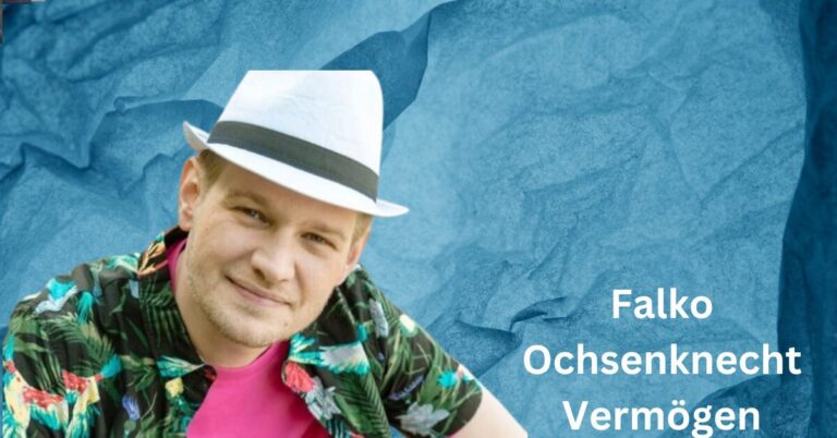 Falko Ochsenknecht Vermögen