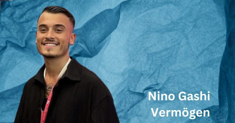 Nino Gashi Vermögen