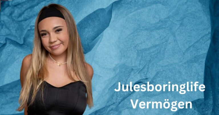 Julesboringlife Vermögen