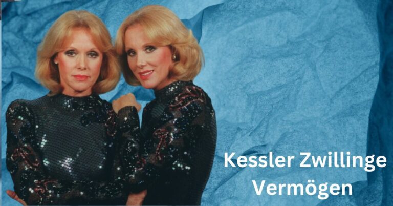 Kessler Zwillinge Vermögen 