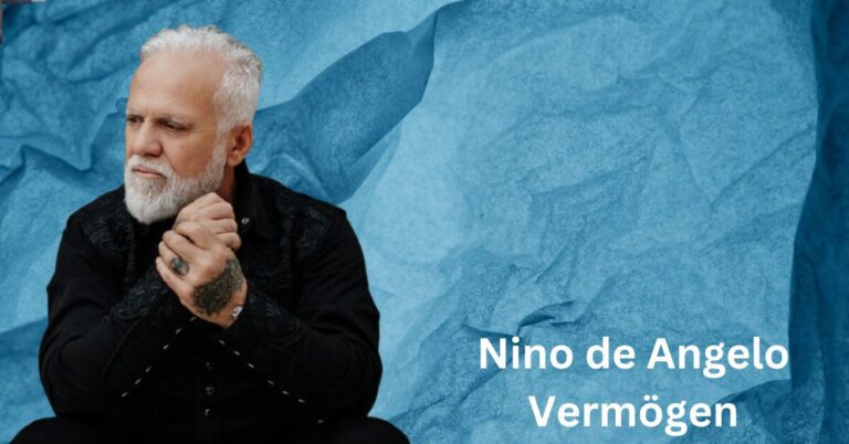 Nino de Angelo Vermögen
